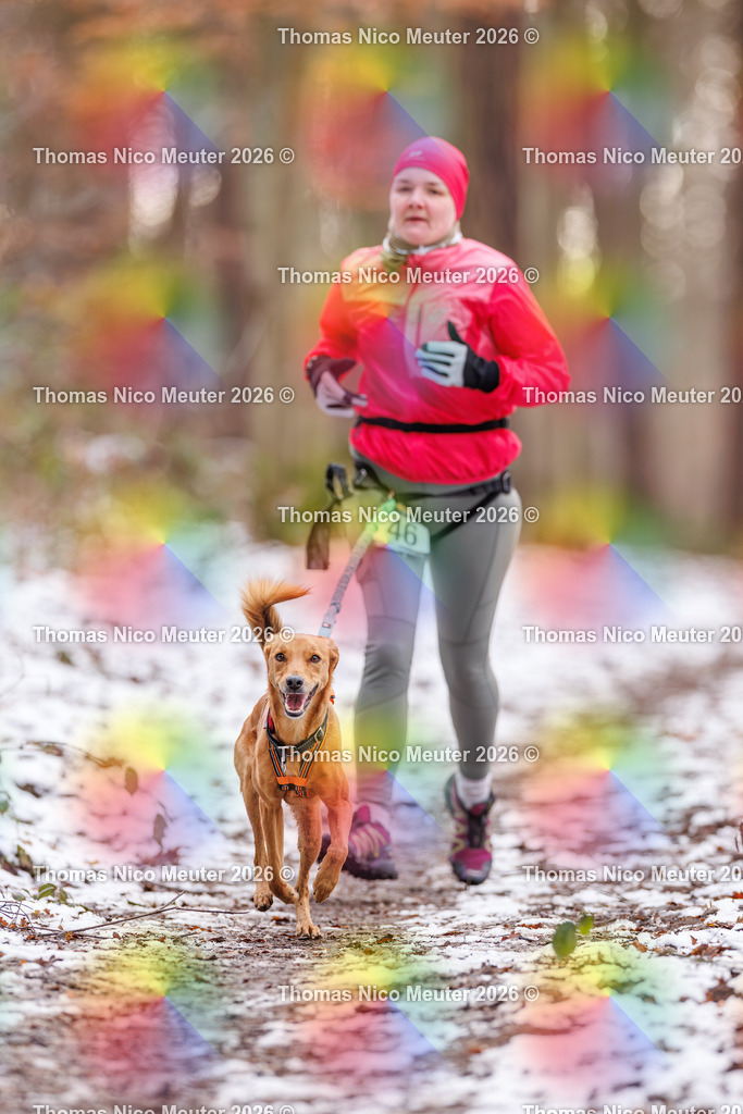 Thomas_Nico_Meuter(C)_223A8770 | Bild von Thomas Nico Meuter - Realisiert mit Pictrs.com