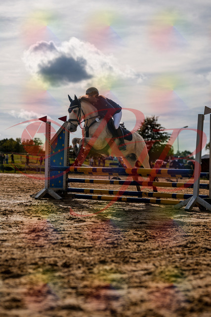 2026_10_03_Siefer-Hof_154504_Z63_09482314 | Professionelle Reitsport-, Turnier- und Eventfotografie von Robert Broda. Galerien mit ausgewählten und bearbeiteten Bildern direkt online ansehen und bestellen.
