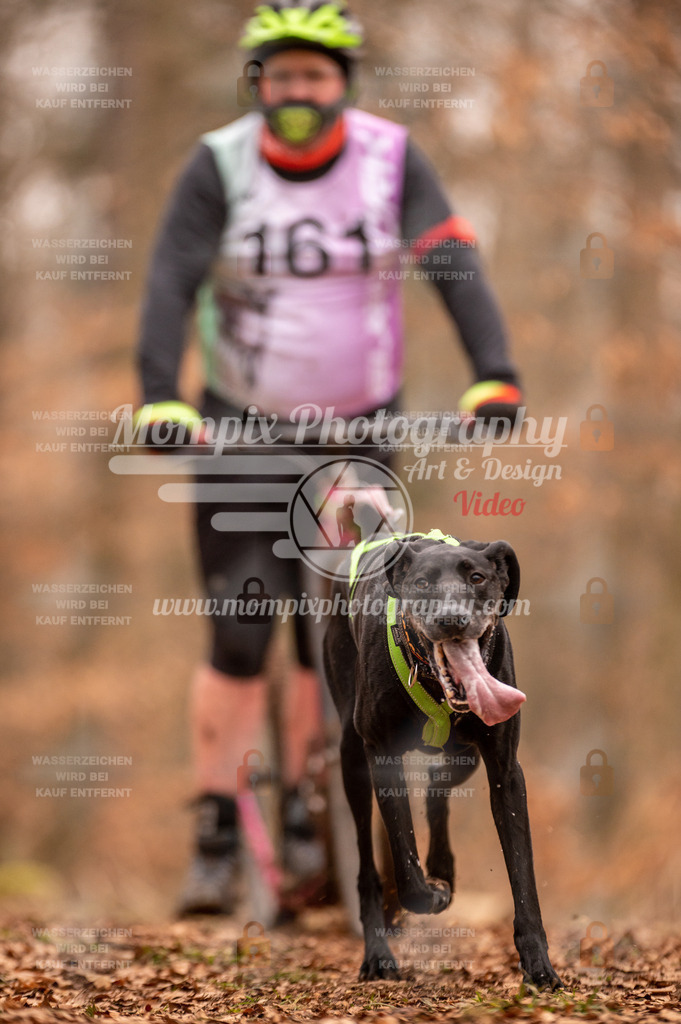 AKM_ST_2023_SAM_Scooter-30 | MompixPhotography