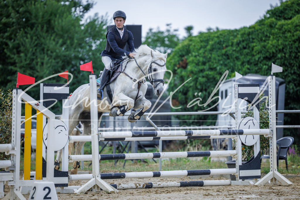 20260705-_3LI4306 | Tierfotografie Pferde, Hunde, Katzen, Haustiere.
Turnierfotografie Reitturniere, Reiten, Springreiten, Dressur in Hanau, dem Main-Kinzig-Kreis und dem Rhein-Main- Gebiet um Frankfurt