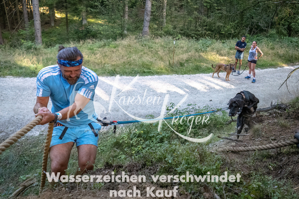 0931_ZZ91819-DeNoiseAI-low-light | kk-dogfotos