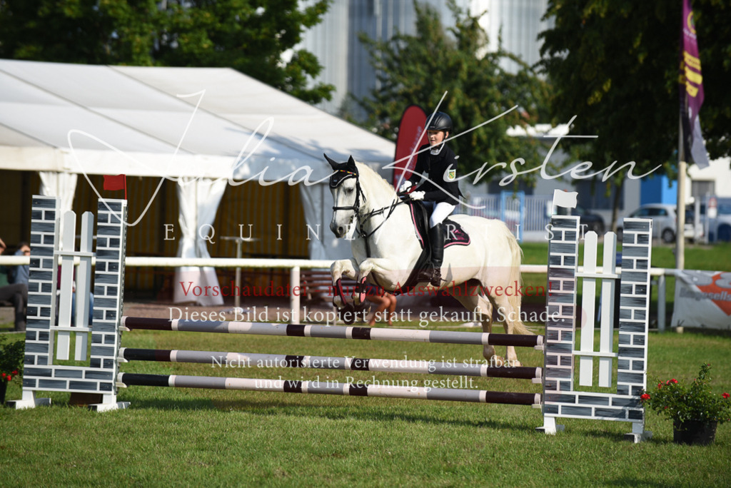 DSC_8651 | Pferde- und Turnierfotografie in Westsachsen. Pferdeportraits, Auftragszeichnungen und intuitive Kunst.