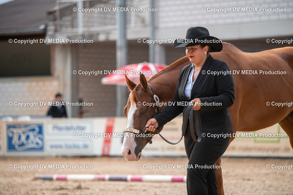 EWP_5563 | dv-media-shop - Realisiert mit Pictrs.com