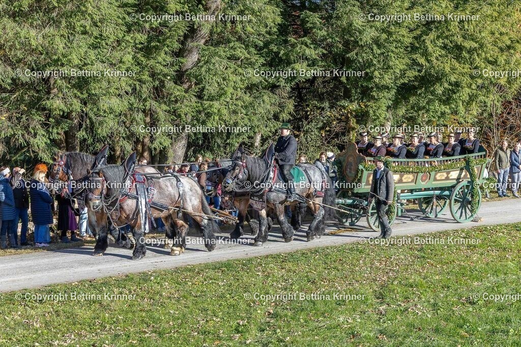 LBT25-521 | foto-bettina-krinner - Realisiert mit Pictrs.com