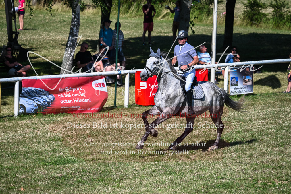 DSC_1982 | Pferde- und Turnierfotografie in Westsachsen. Pferdeportraits, Auftragszeichnungen und intuitive Kunst.