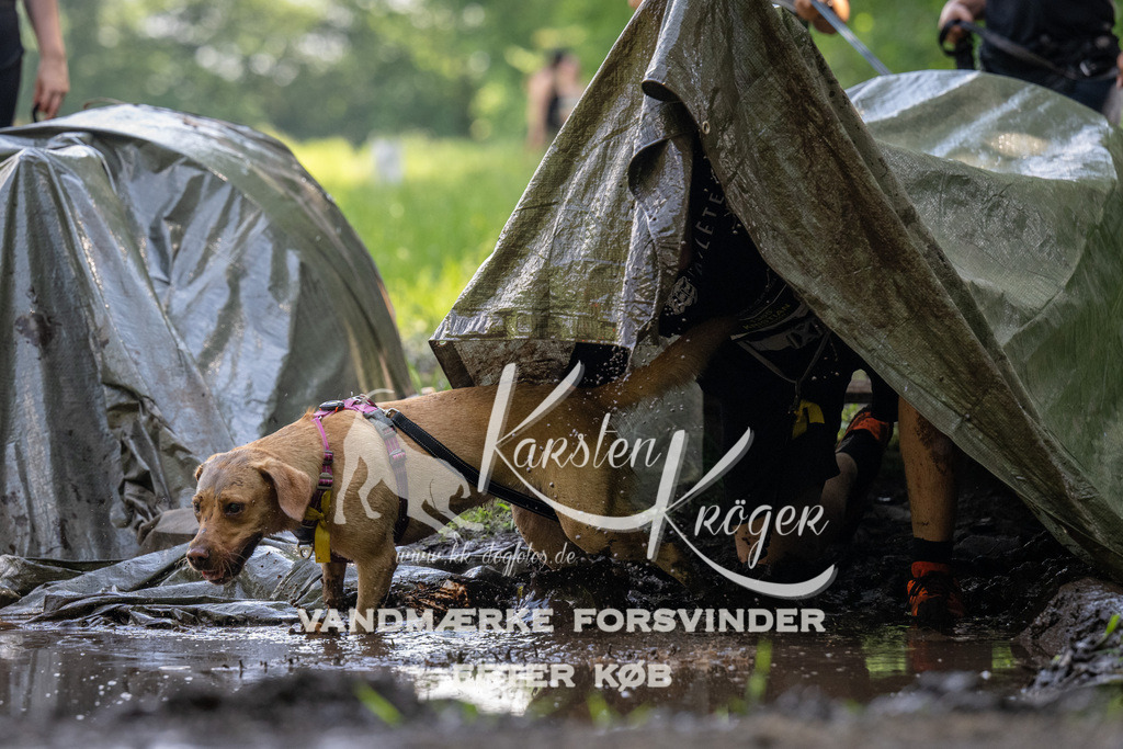 1155_ZZ90201 | kk-dogfotos