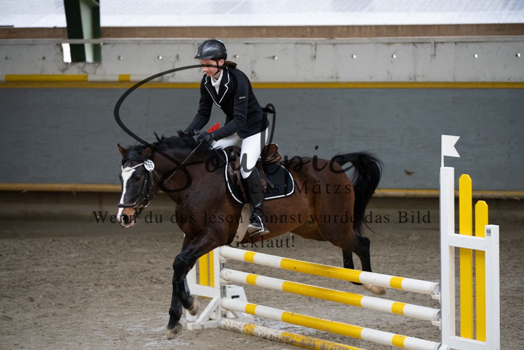 A7V01036 | Pferdefotograf