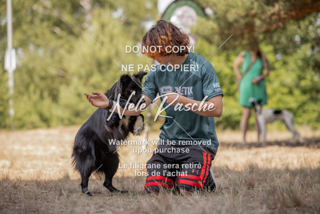 nelerasche_soDD2_324 | nelerasche