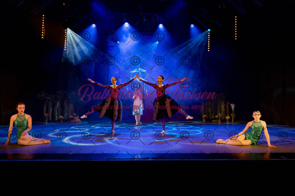 Ballettaufführung-413 | Bildershop Lem'n Entertainment - Realisiert mit Pictrs.com