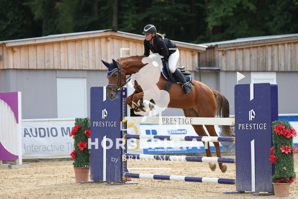 0P6A6789 | Willkommen bei Brunnmayr - Design & Fotografie – Ihrem Spezialisten für Reitturniere und Pferdeveranstaltungen in Oberösterreich, Salzburg und Bayern! Seit über 17 Jahren sind wir leidenschaftlich dabei.