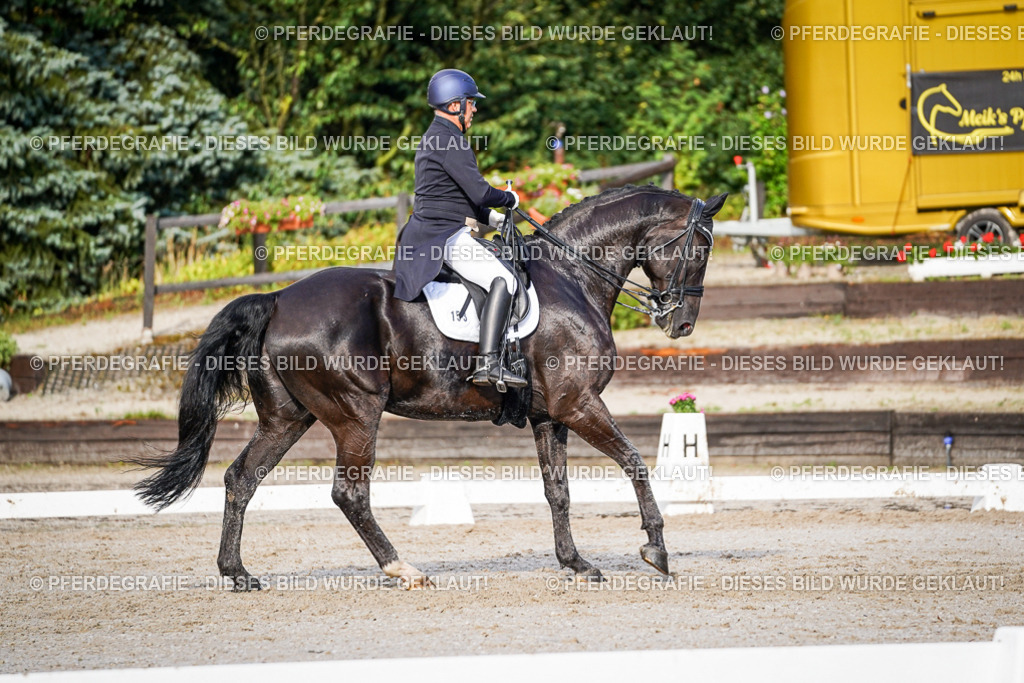 DSC00511 | Pferdegrafie