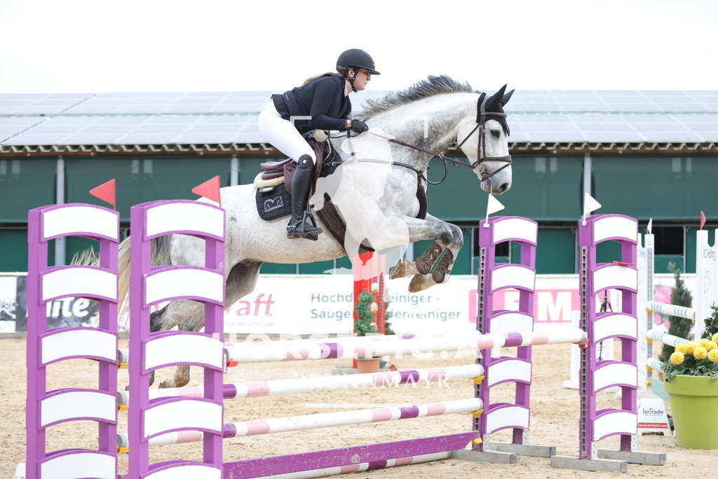 0P6A3895 | Willkommen bei Brunnmayr - Design & Fotografie – Ihrem Spezialisten für Reitturniere und Pferdeveranstaltungen in Oberösterreich, Salzburg und Bayern! Seit über 17 Jahren sind wir leidenschaftlich dabei.