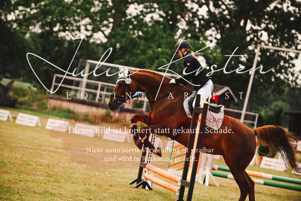 DSC_6868 | Pferde- und Turnierfotografie in Westsachsen. Pferdeportraits, Auftragszeichnungen und intuitive Kunst.