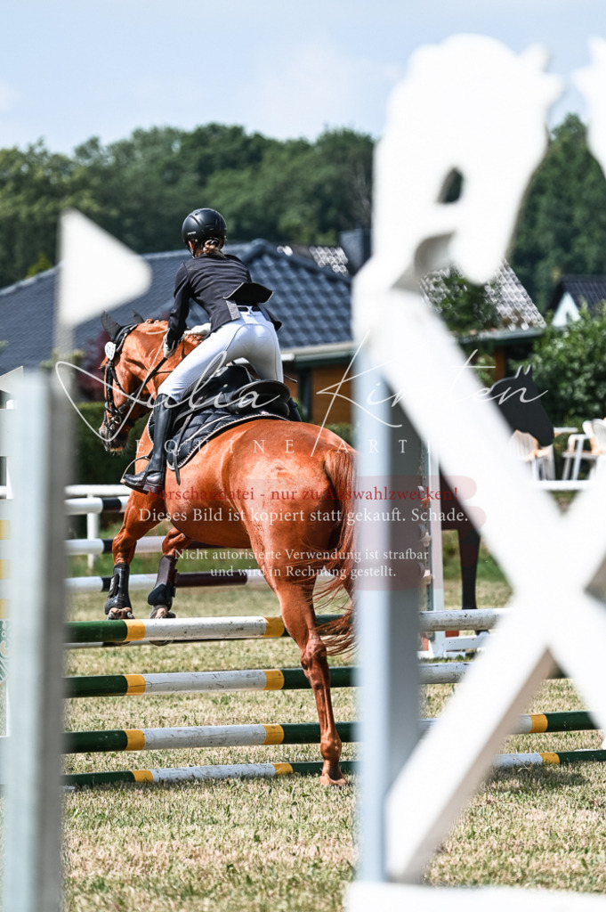 DSC_9180 | Pferde- und Turnierfotografie in Westsachsen. Pferdeportraits, Auftragszeichnungen und intuitive Kunst.