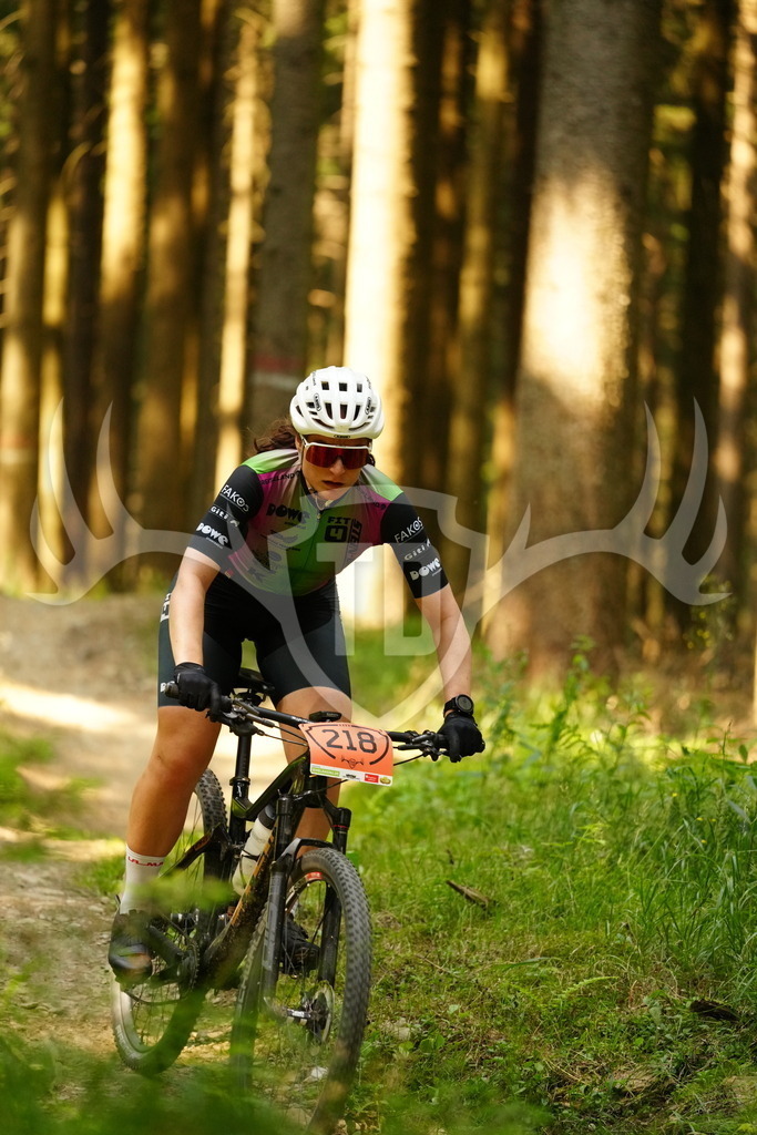 FC102959 | Fotogalerie der Treibjagd im Dunkelwald - Dein MTB Etappenrennen im Erzgebirge - Realisiert mit Pictrs.com