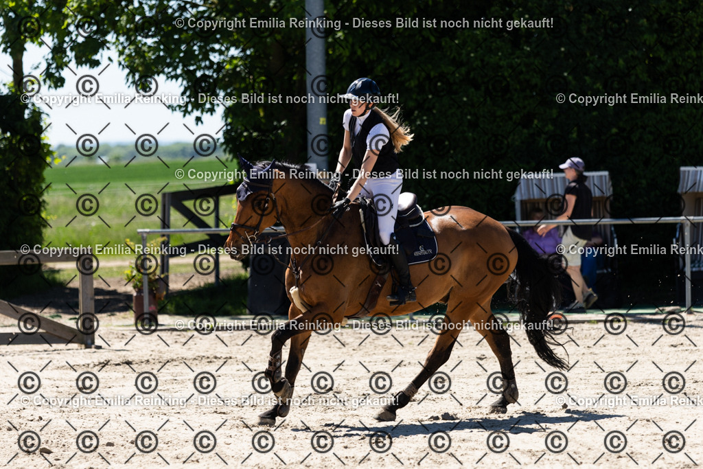 CL5A5172 | Emilia Reinking Fotografie - Realisiert mit Pictrs.com