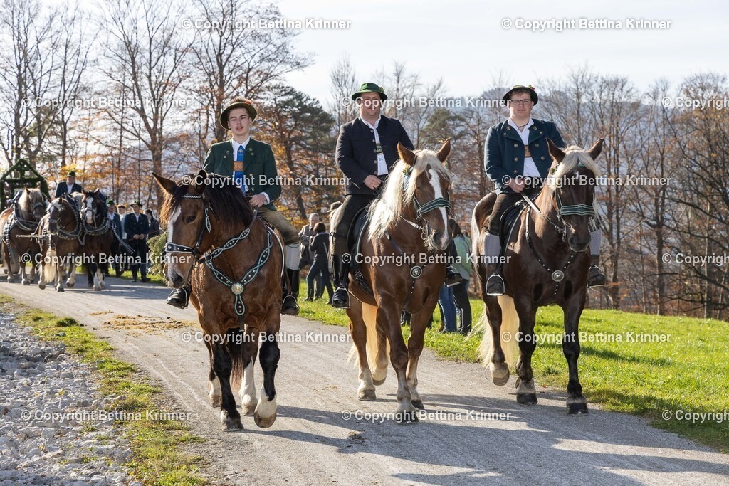 LBT24-1390 | foto-bettina-krinner - Realisiert mit Pictrs.com