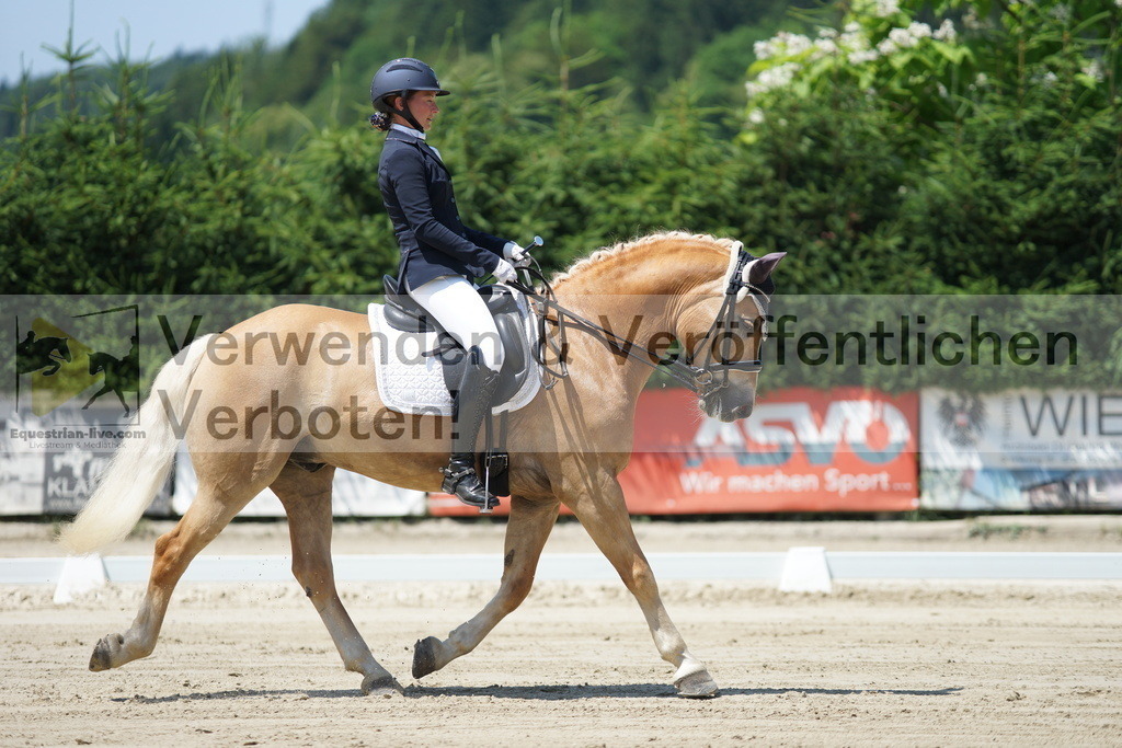 DSC03523 | equestrian-live-com