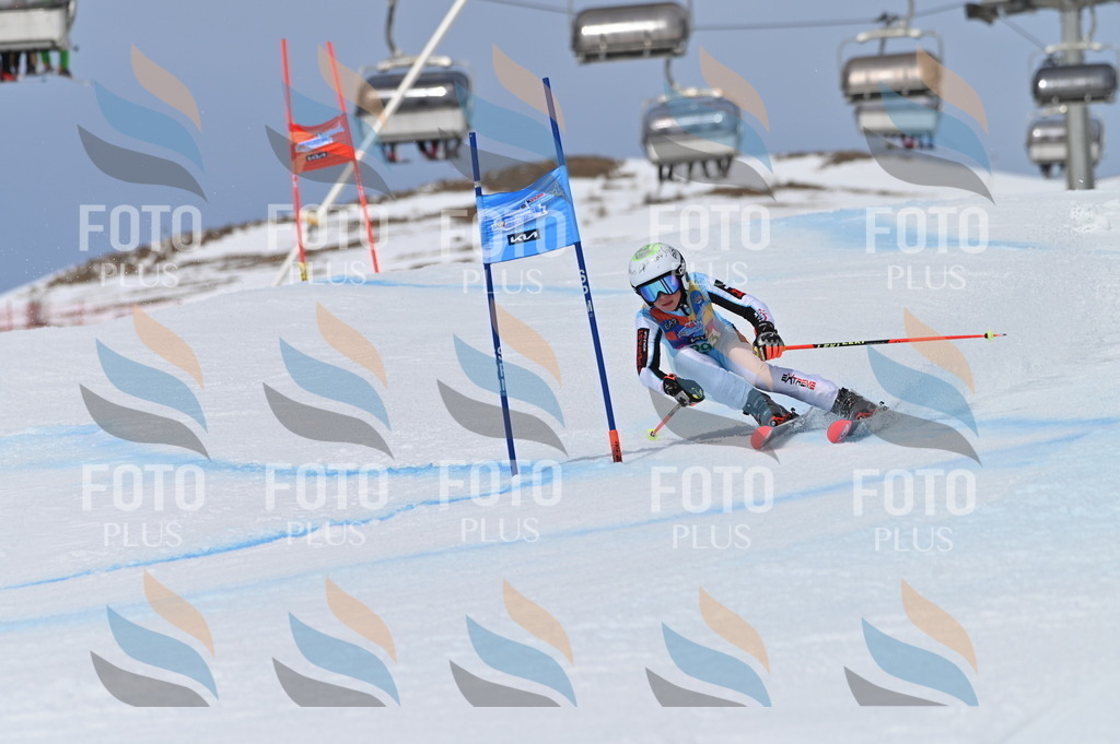 BGV_5849 | holidayphoto