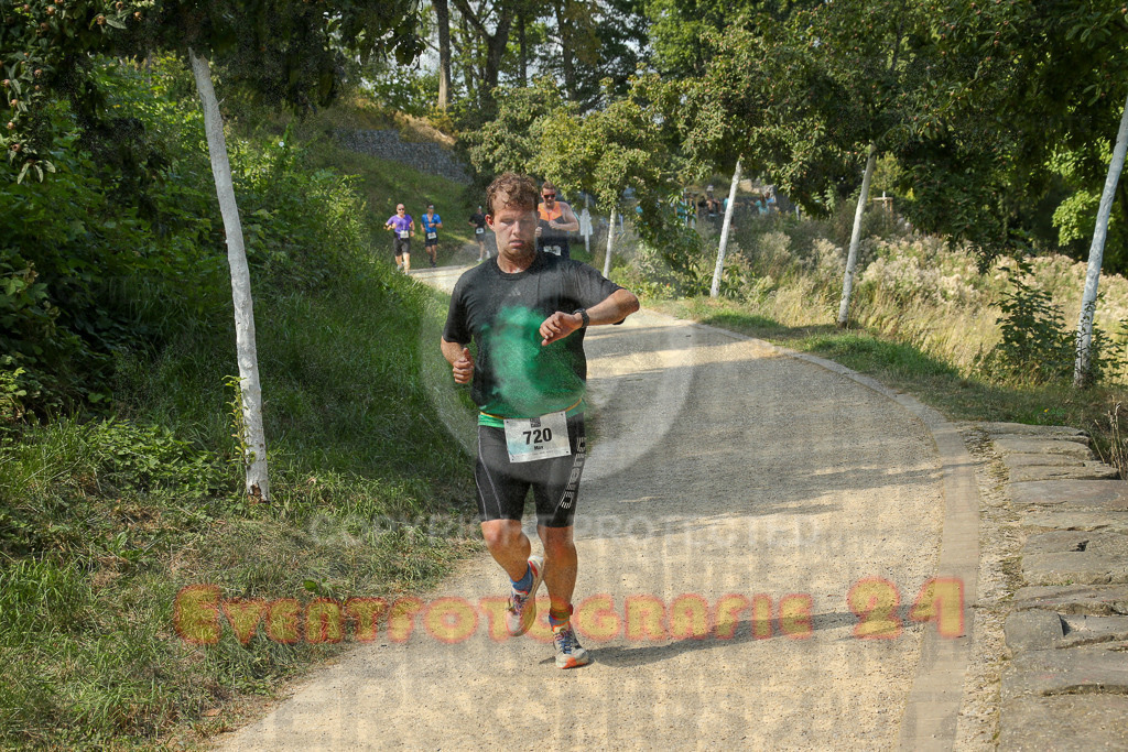 250824_1442_EX1_7219 | Sportfotografie im Rhein-Sieg Kreis, Köln, Bonn, NRW, Rheinland Pfalz, Hessen, etc. Unser Tätigkeitsfeld umfasst den Laufsport vom Volkslauf über den Marathon, Duathlon, Triathon bis zum Ultralauf wie Kölnpfad Ultra oder Schindertrail.