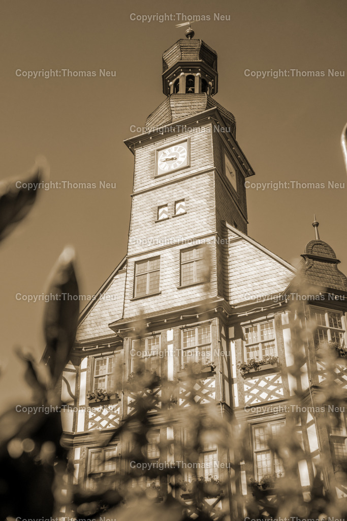 DSC_5879-Sepia | Hochwertige Fotografien aus Bensheim, der hessischen Bergstraße und dem Odenwald. Stadtansichten, Landschaften und historische Motive von Fotograf Thomas Neu- als Datei und Print erhältlich