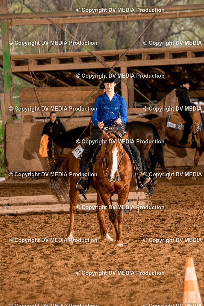 BAL00165 | dv-media-shop - Realisiert mit Pictrs.com