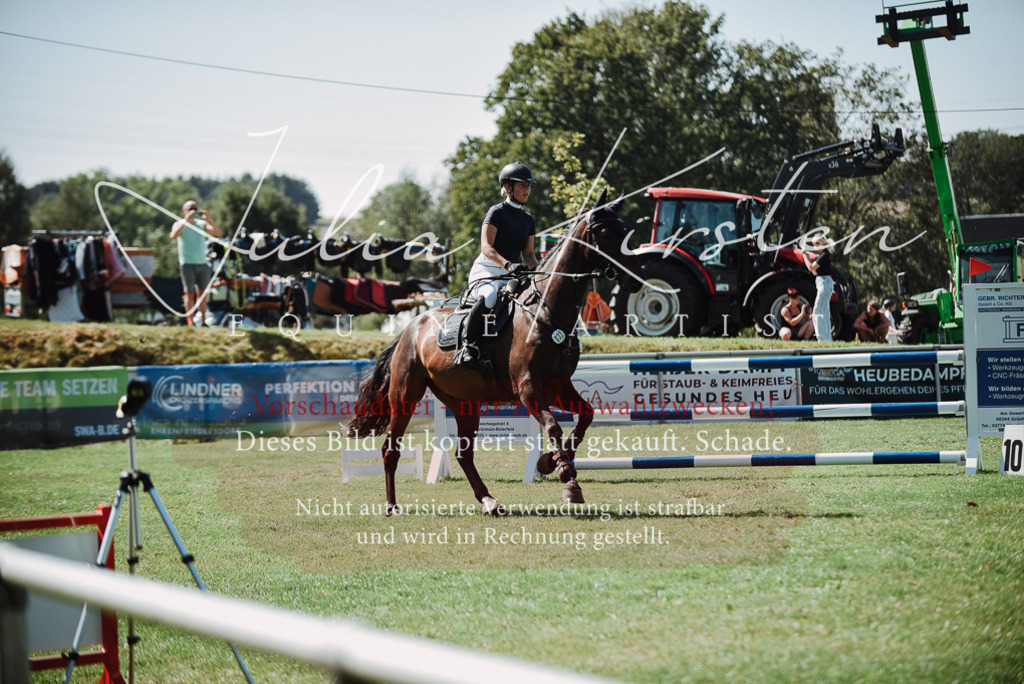 DSC_3267 | Pferde- und Turnierfotografie in Westsachsen. Pferdeportraits, Auftragszeichnungen und intuitive Kunst.