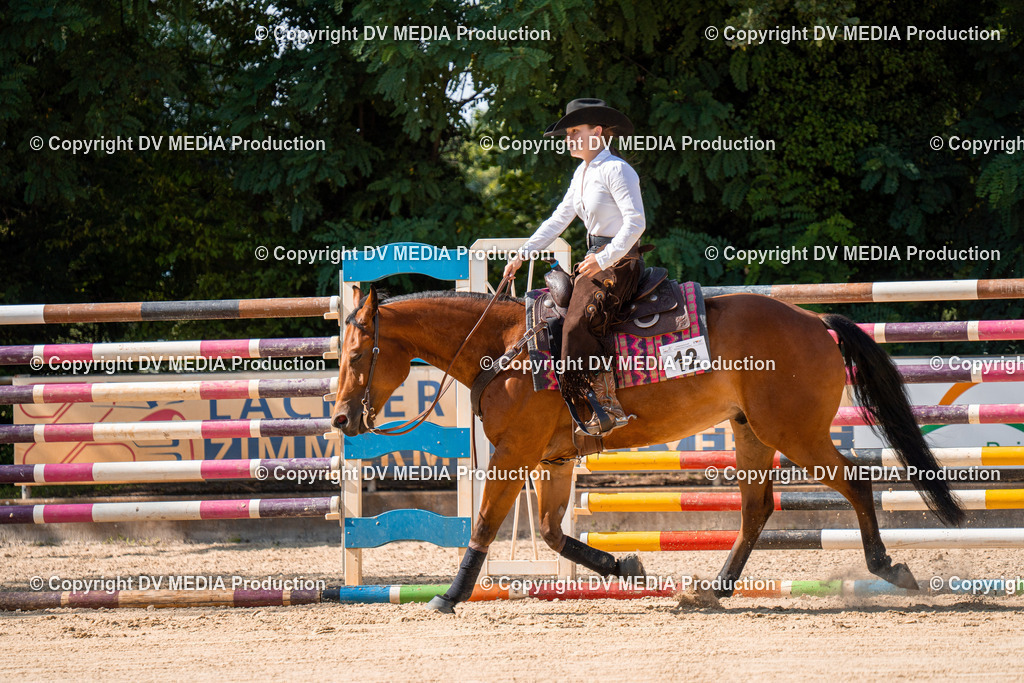 ZH100256 | dv-media-shop - Realisiert mit Pictrs.com