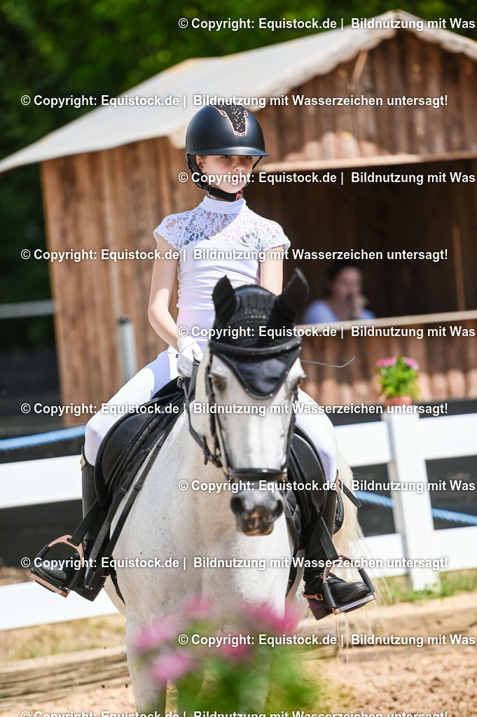 20230715_09_Dressur-WB_0043 | equistock