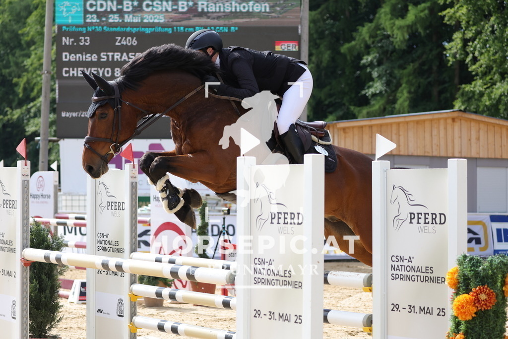 0P6A6470 | Willkommen bei Brunnmayr - Design & Fotografie – Ihrem Spezialisten für Reitturniere und Pferdeveranstaltungen in Oberösterreich, Salzburg und Bayern! Seit über 17 Jahren sind wir leidenschaftlich dabei.