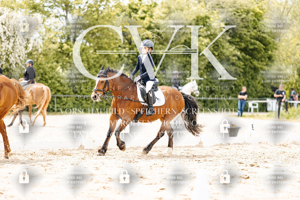 CK902368 | Turnierfotografie Pferdefotografie Trier Rheinland-Pfalz Pferdesport Reitsport Tierfotografie Sportfotografie Pferdevideo Pferdevideografie Equestrianvideography equestrianphotography  - Realisiert mit Pictrs.com