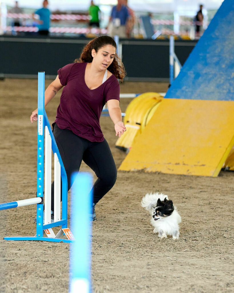 580B0112 | Peter Fridle Fotografie - Realisiert mit Pictrs.com