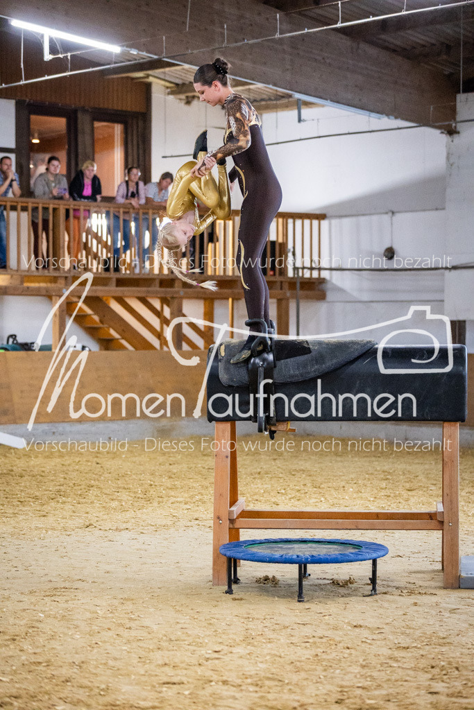 Holzpferd-059 | MomenTaufnahmen Pferdesportfotos
