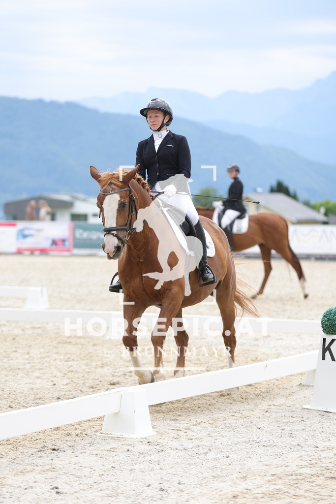 0P6A8004 | Willkommen bei Brunnmayr - Design & Fotografie – Ihrem Spezialisten für Reitturniere und Pferdeveranstaltungen in Oberösterreich, Salzburg und Bayern! Seit über 17 Jahren sind wir leidenschaftlich dabei.