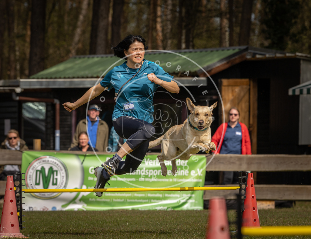 Pfotenfotografie_DV3A6249 | Hundefotografie, Tierfotograf, Pfotenfotografie, Fotoshooting Hund, Hunde Portrait, Hundesport, Hundeportraits, Heideshooting, Hunde, Sportfotograf, Hundefotograf, Turnierhundsport, THS,  - Realisiert mit Pictrs.com