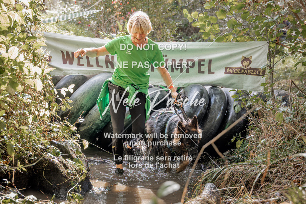 nelerasche_Hunsrück2026_Sa1400-1500_367 | nelerasche