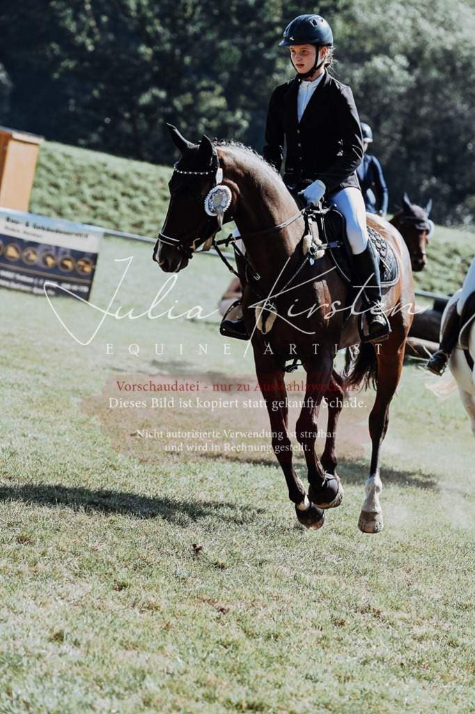 DSC_6225 | Pferde- und Turnierfotografie in Westsachsen. Pferdeportraits, Auftragszeichnungen und intuitive Kunst.