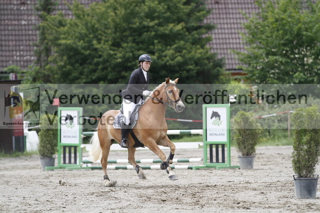 _MG_6136 | equestrian-live-com