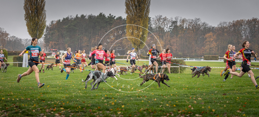 CaniXpix_DV3A8796 | Hundefotografie, Tierfotograf, Pfotenfotografie, Fotoshooting Hund, Hunde Portrait, Hundesport, Hundeportraits, Heideshooting, Hunde, Sportfotograf, Hundefotograf, Turnierhundsport, THS,  - Realisiert mit Pictrs.com