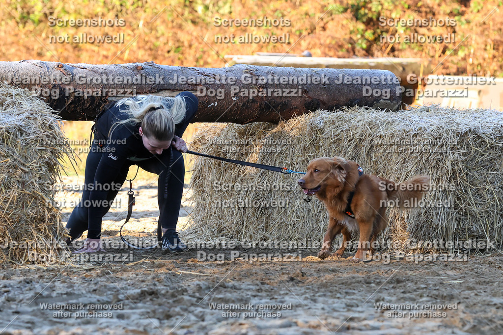 Dog Paparazzi - Strongdog 10-25-626 | Dog Paparazzi Jeanette Grottendiek Fotografie & Videografie - Realisiert mit Pictrs.com