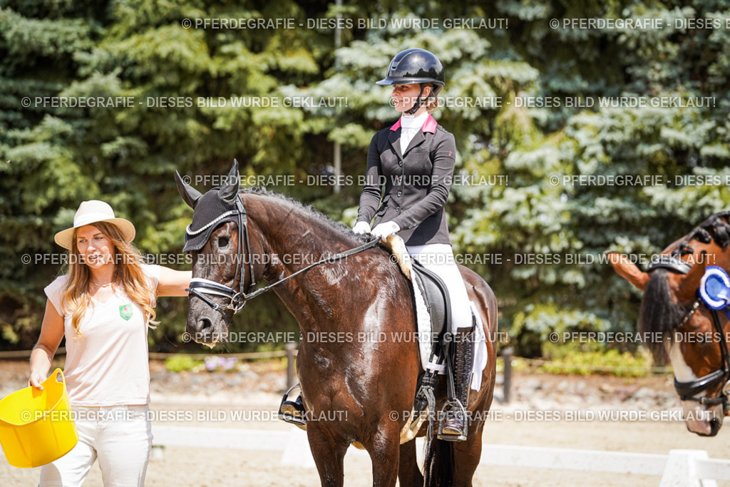 DSC01768 | Pferdegrafie