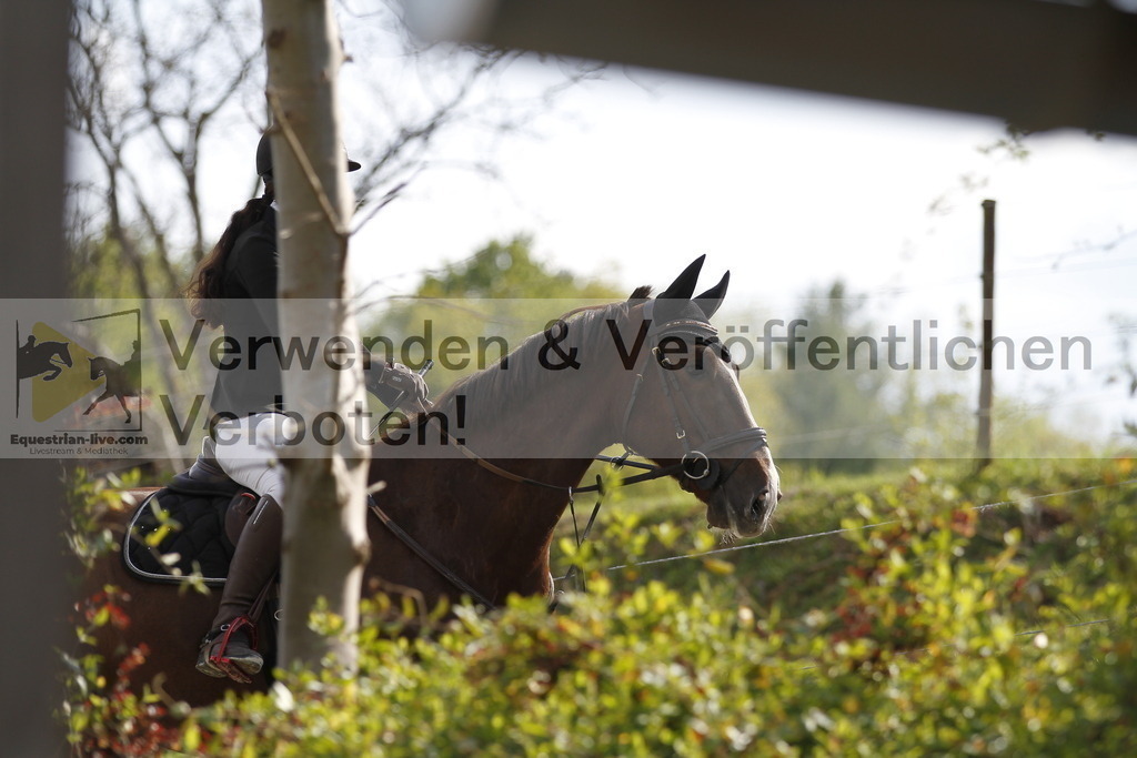 _MG_7988 | equestrian-live-com