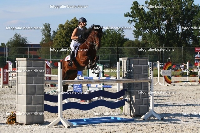 OHT 2022 Röhlingen (163) | Fotografie, Tiere, Hunde, Katzen, Pferde, Sportfotografie, Fotosession, Tierfotografie, Turnierfotografie, Fotografin, Fotograf - Realisiert mit Pictrs.com