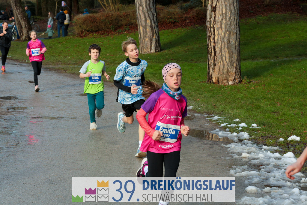 39. 3Koenigslauf 2025 | 20250106_3koenigslauf - Realisiert mit Pictrs.com