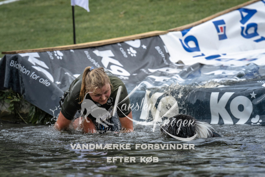 1537_ZZ95797 | kk-dogfotos