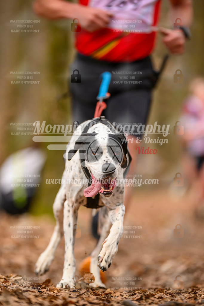 MompixPhotography_Habay2025_SA_CCC-74 | PayLife