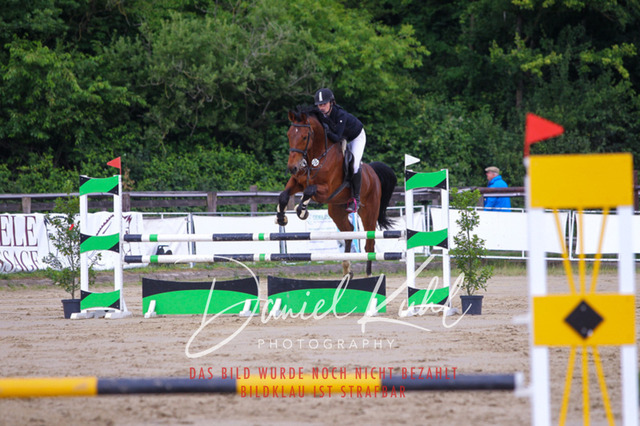 DKP41917 | Turniersportfotografie; Pferdefotografie; Dressurfotografie
