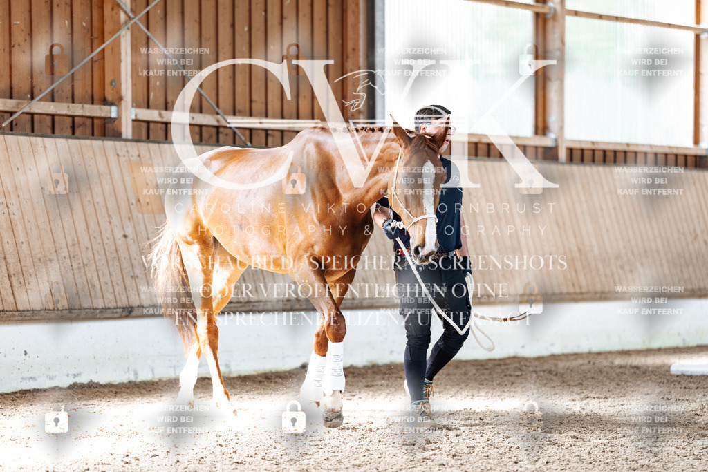 CK905819 | Turnierfotografie Pferdefotografie Trier Rheinland-Pfalz Pferdesport Reitsport Tierfotografie Sportfotografie Pferdevideo Pferdevideografie Equestrianvideography equestrianphotography  - Realisiert mit Pictrs.com