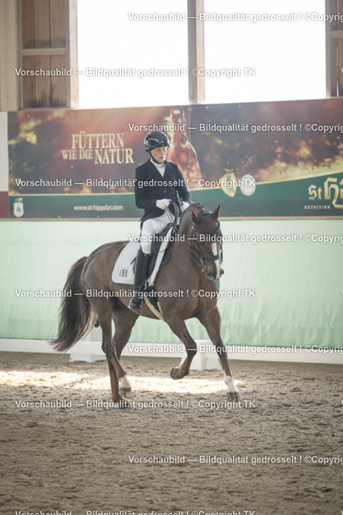 _D5A1210 | Emotionale Pferde- & People-Fotografie rund um Heidelberg, Leimen & Umgebung. Natürliche Fotos von Pferd, Mensch & Familie. Jetzt Termin sichern!