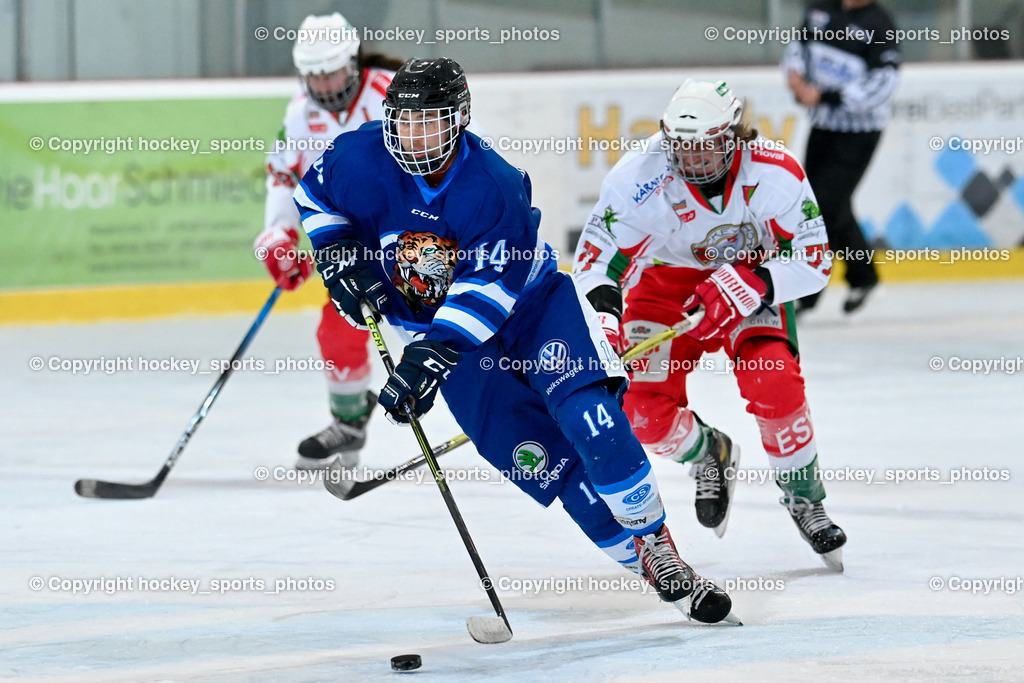 BST_9310 | hockey sports photos, Pressefotos, Sportfotos, hockey247, win 2day icehockeyleague, Handball Austria, Floorball Austria, ÖVV, Kärntner Eishockeyverband, KEHV, KFV, Kärntner Fussballverband, Österreichischer Volleyballverband, Alps Hockey League, ÖFB, 